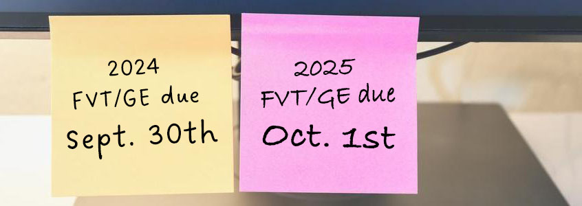 Navigating the FVT/GE Timeline